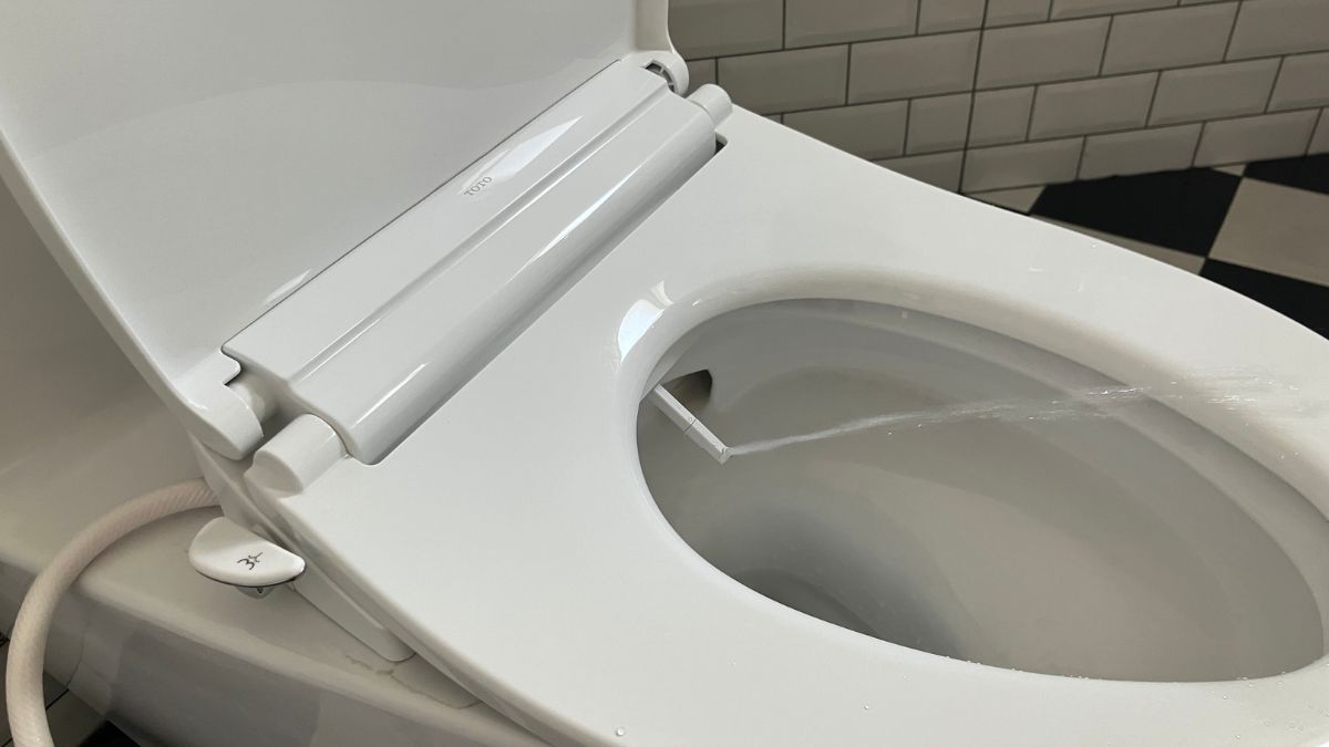 Nắp bồn cầu rửa cơ TOTO TCW11S (E6)
