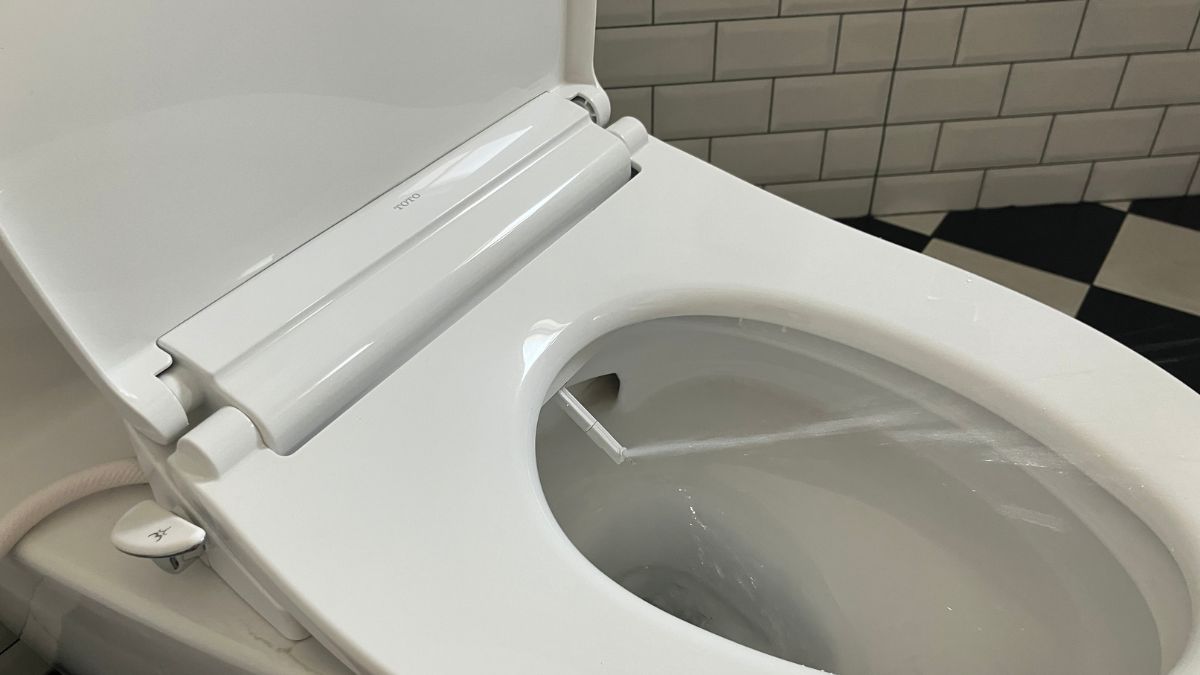 Nắp bồn cầu rửa cơ TOTO TCW11S (E6)
