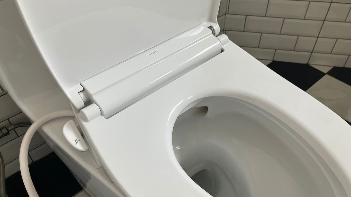 Nắp bồn cầu rửa cơ TOTO TCW11S (E6)