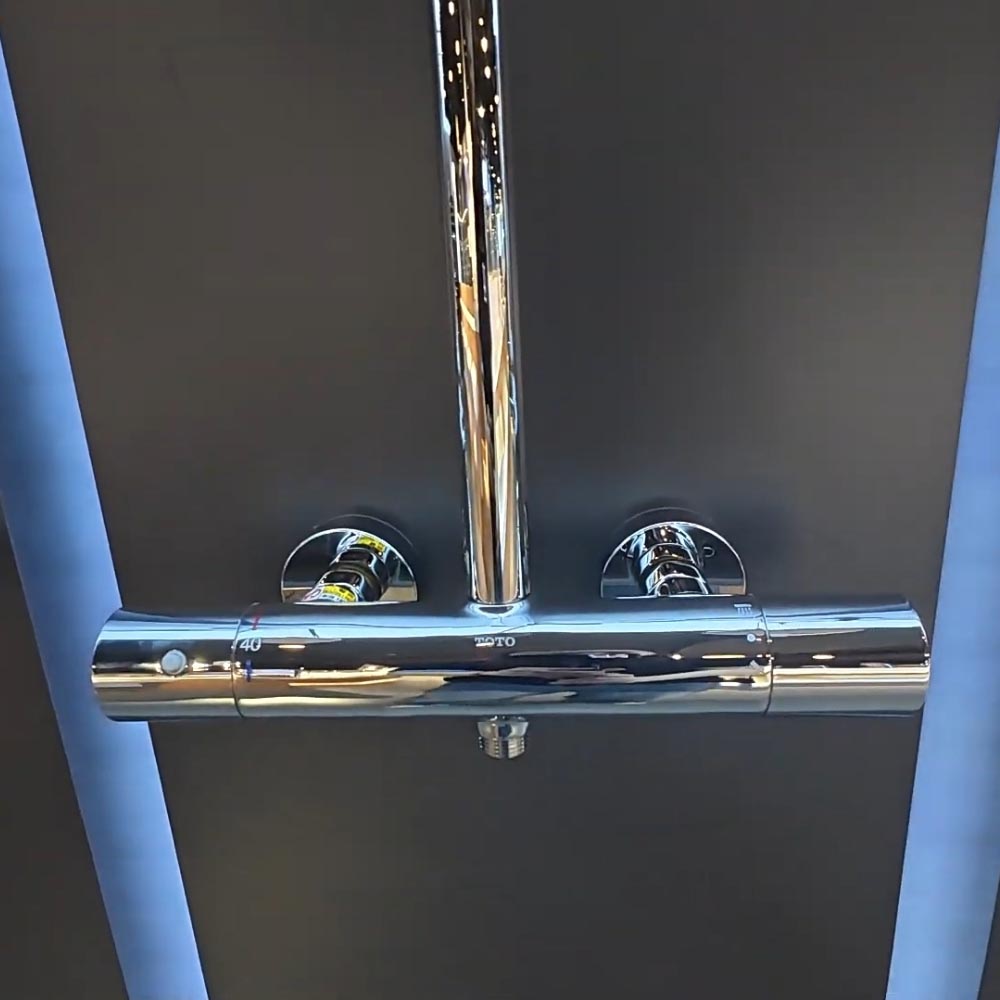 Sen cây nhiệt độ dòng G TOTO TBW07402A