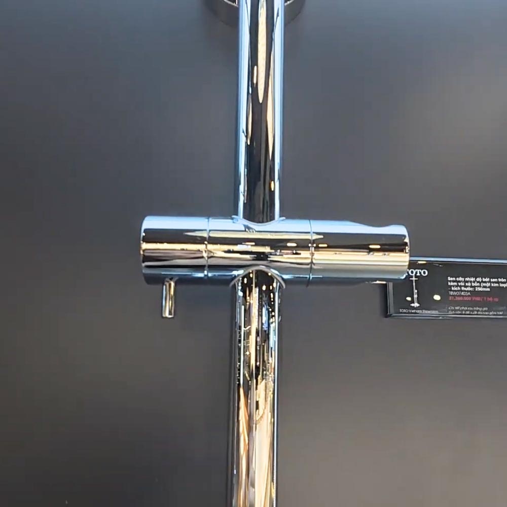 Sen cây nhiệt độ dòng G TOTO TBW07403A (kèm vòi xả bồn)