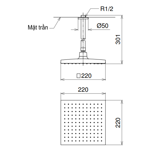 Bát sen tắm gắn trần TOTO DB144-1CR (DB1441CR) (vuông, 220mm)