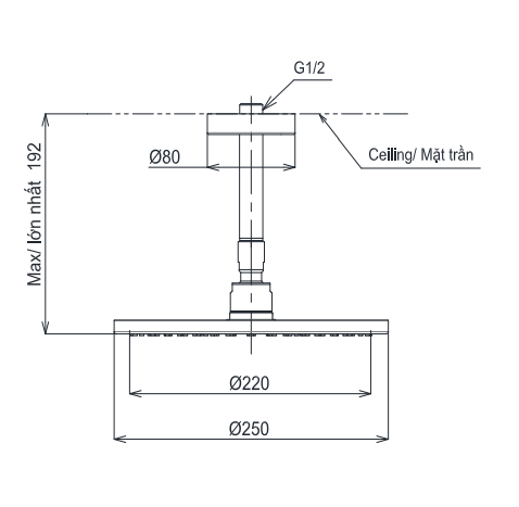Bát sen tắm gắn trần TOTO TBW07002A1 (tròn 250 mm)