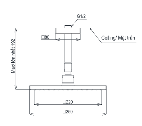Bát sen tắm gắn trần TOTO TBW08002A1 (vuông, 250 mm)