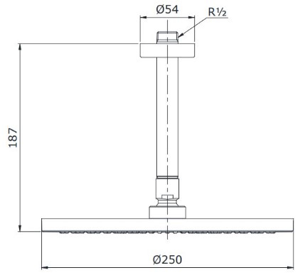 Bản vẽ kỹ thuật Bát sen TOTO TX491SN