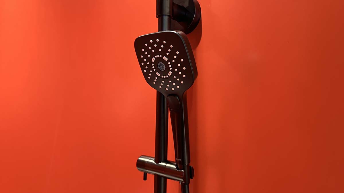 Tay sen tắm 3 chế độ TOTO TBW02006A