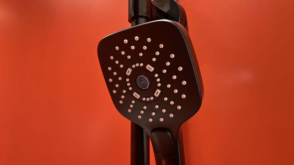 Tay sen tắm 3 chế độ TOTO TBW02006A