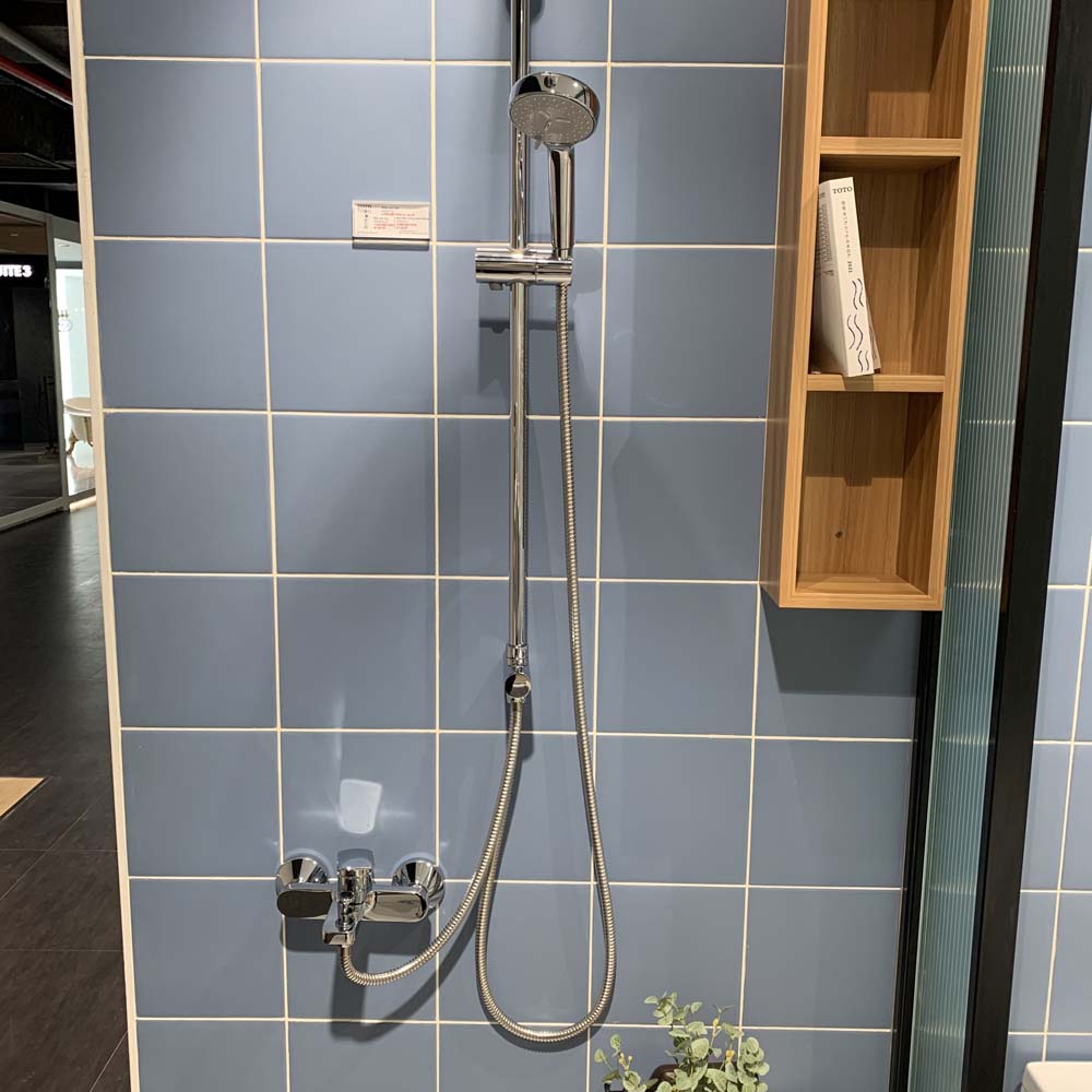 Tay sen tắm TOTO TBW07012A  (2 chế độ)