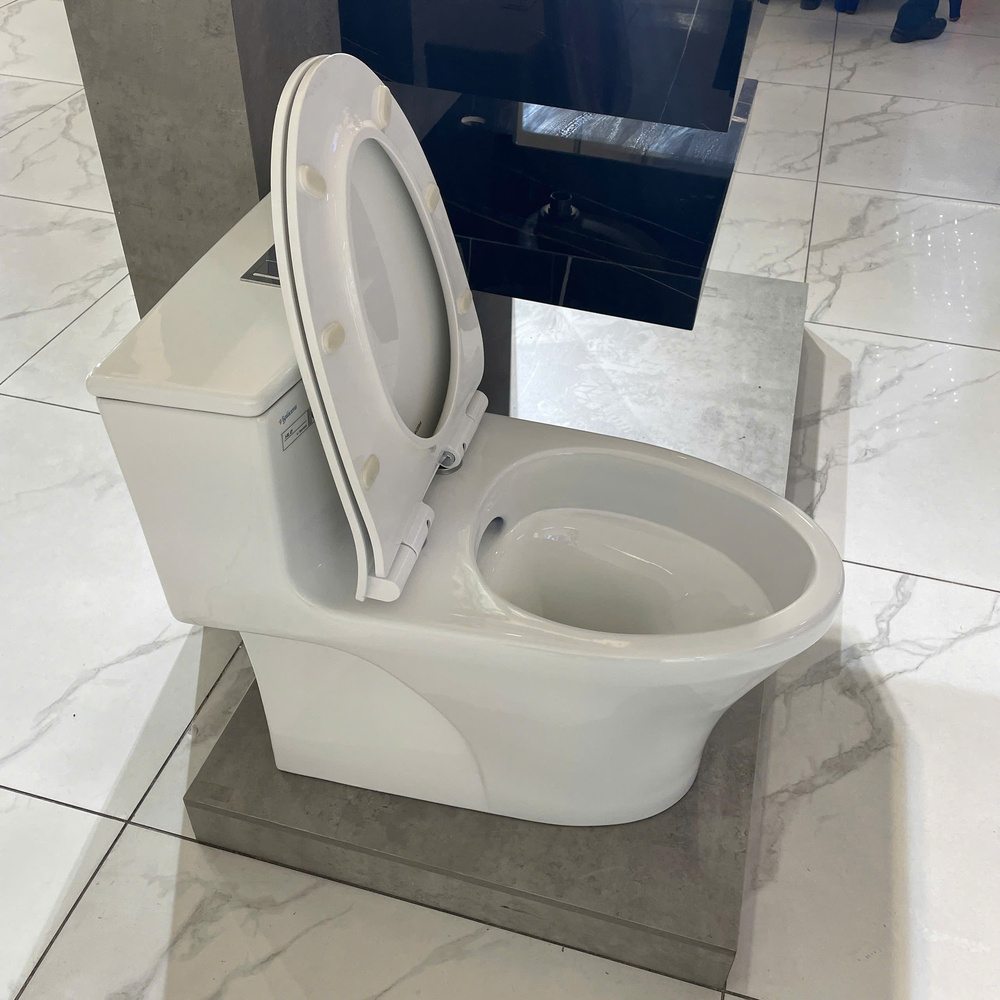 Bồn cầu 1 khối Viglacera HL2 nắp êm (+ vòi xịt VG826 & van VG853)