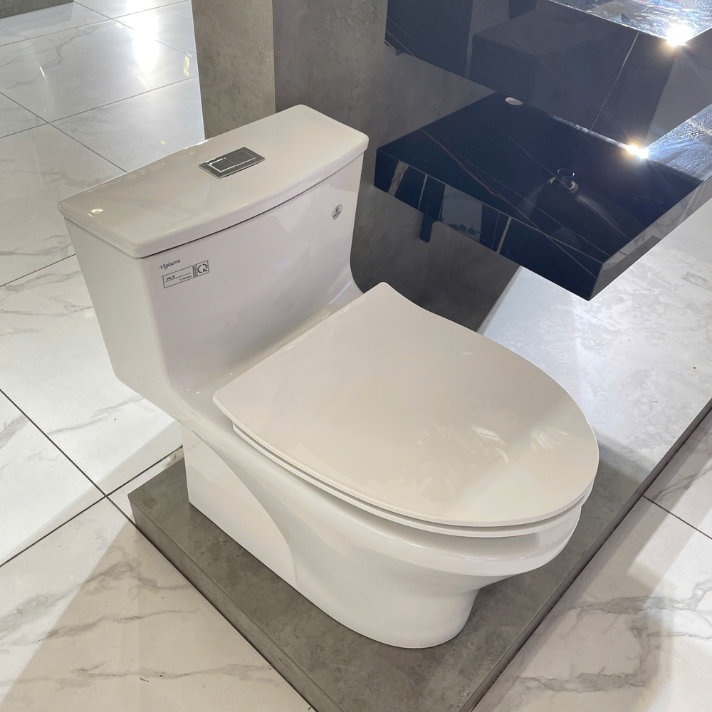 Bồn cầu 1 khối Viglacera HL2 nắp êm (+ vòi xịt VG826 & van VG853)