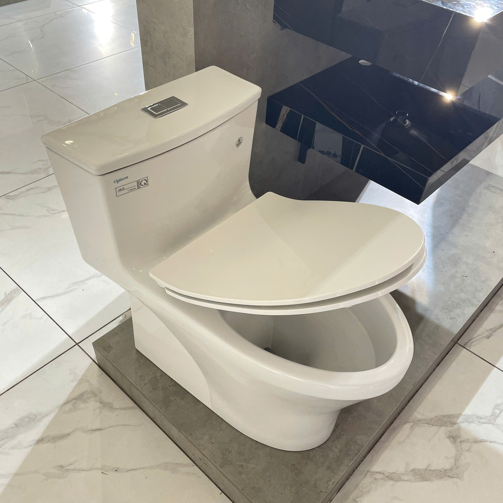 Bồn cầu 1 khối Viglacera HL2 nắp êm (+ vòi xịt VG826 & van VG853)