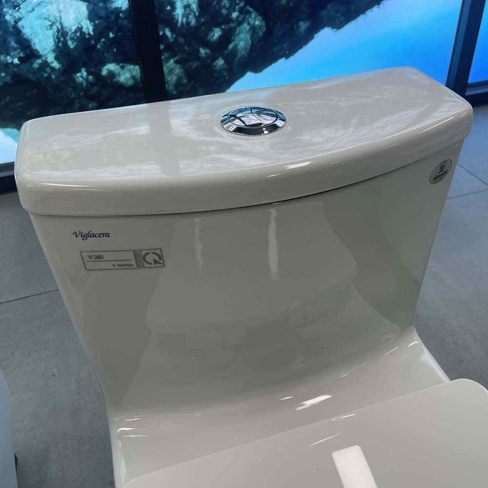 Bồn cầu 1 khối Viglacera V36 nắp êm (+ vòi xịt VG826)