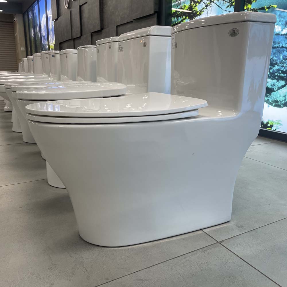 Bồn cầu 1 khối Viglacera V36 nắp êm (+ vòi xịt VG826)