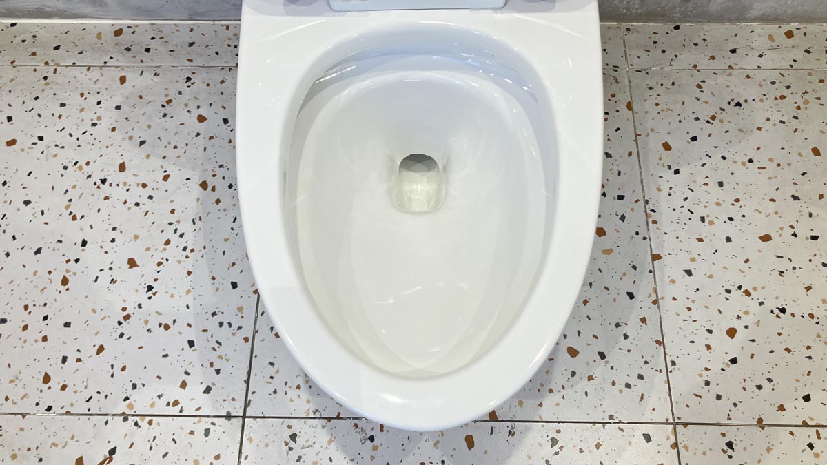 Bồn cầu 1 khối Viglacera V37S nắp êm tráp nhựa con thỏ rời (+ vòi xịt VG826)