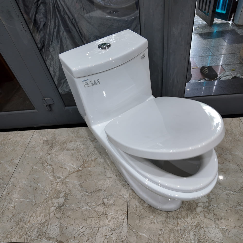 Bồn cầu 1 khối Viglacera V39 nắp êm xả thẳng (+ vòi xịt VG826)