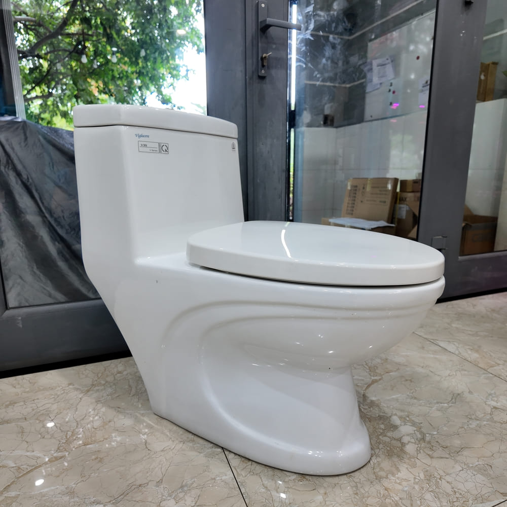 Bồn cầu 1 khối Viglacera V39 nắp êm xả thẳng (+ vòi xịt VG826)