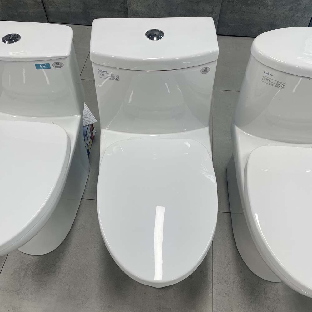 Bồn cầu 1 khối Viglacera V39 nắp êm xả thẳng (+ vòi xịt VG826)