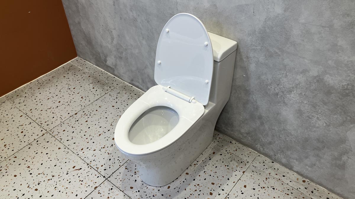 Bồn cầu 1 khối Viglacera V45M nắp êm xả xoáy (+ vòi xịt VG826 & van VG853)