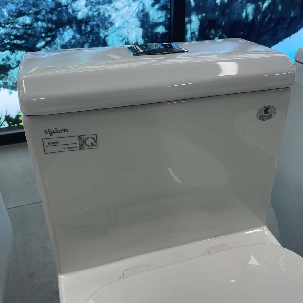 Bồn cầu 1 khối Viglacera V45M nắp êm xả xoáy (+ vòi xịt VG826 & van VG853)