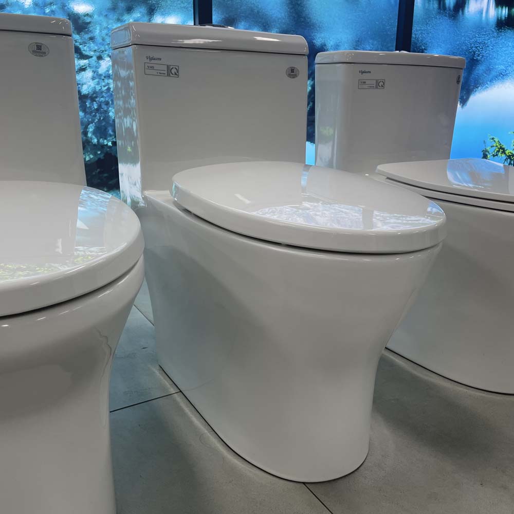 Bồn cầu 1 khối Viglacera V45M nắp êm xả xoáy (+ vòi xịt VG826 & van VG853)