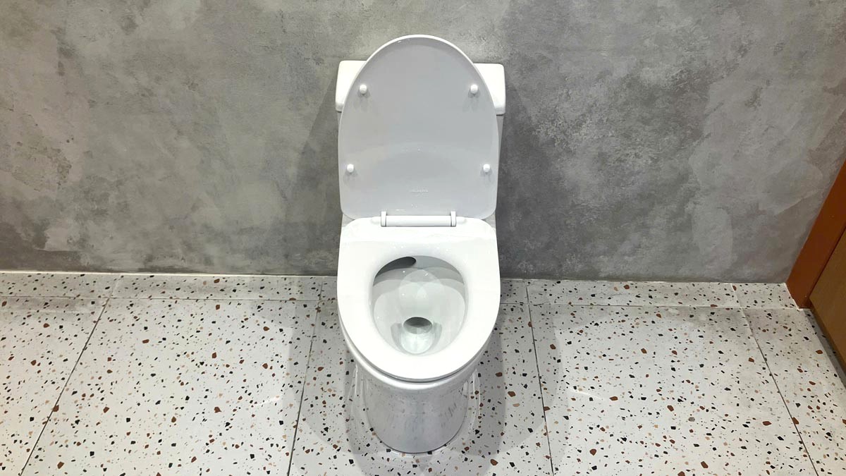 Bồn cầu 1 khối Viglacera V45M nắp êm xả xoáy (+ vòi xịt VG826 & van VG853)