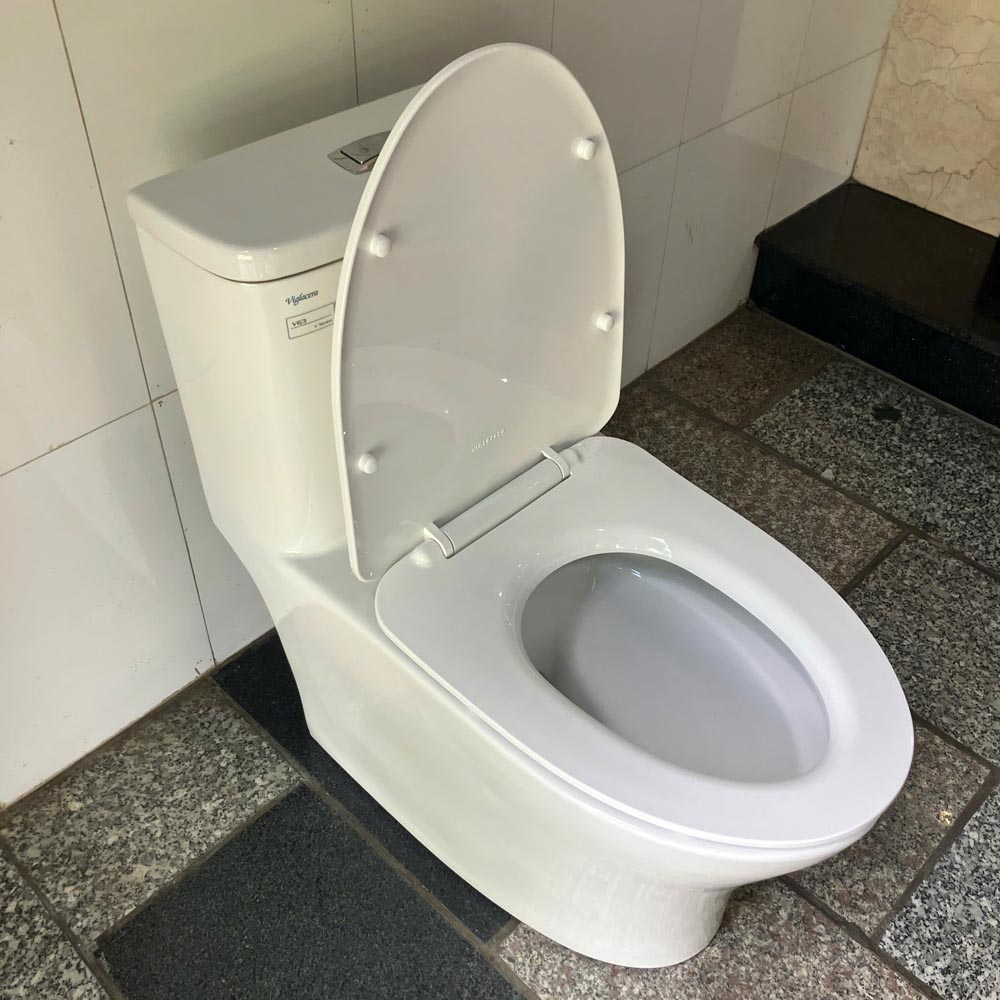 Bồn cầu 1 khối Viglacera V63 nắp êm (+ vòi xịt VG826 & van VG853)