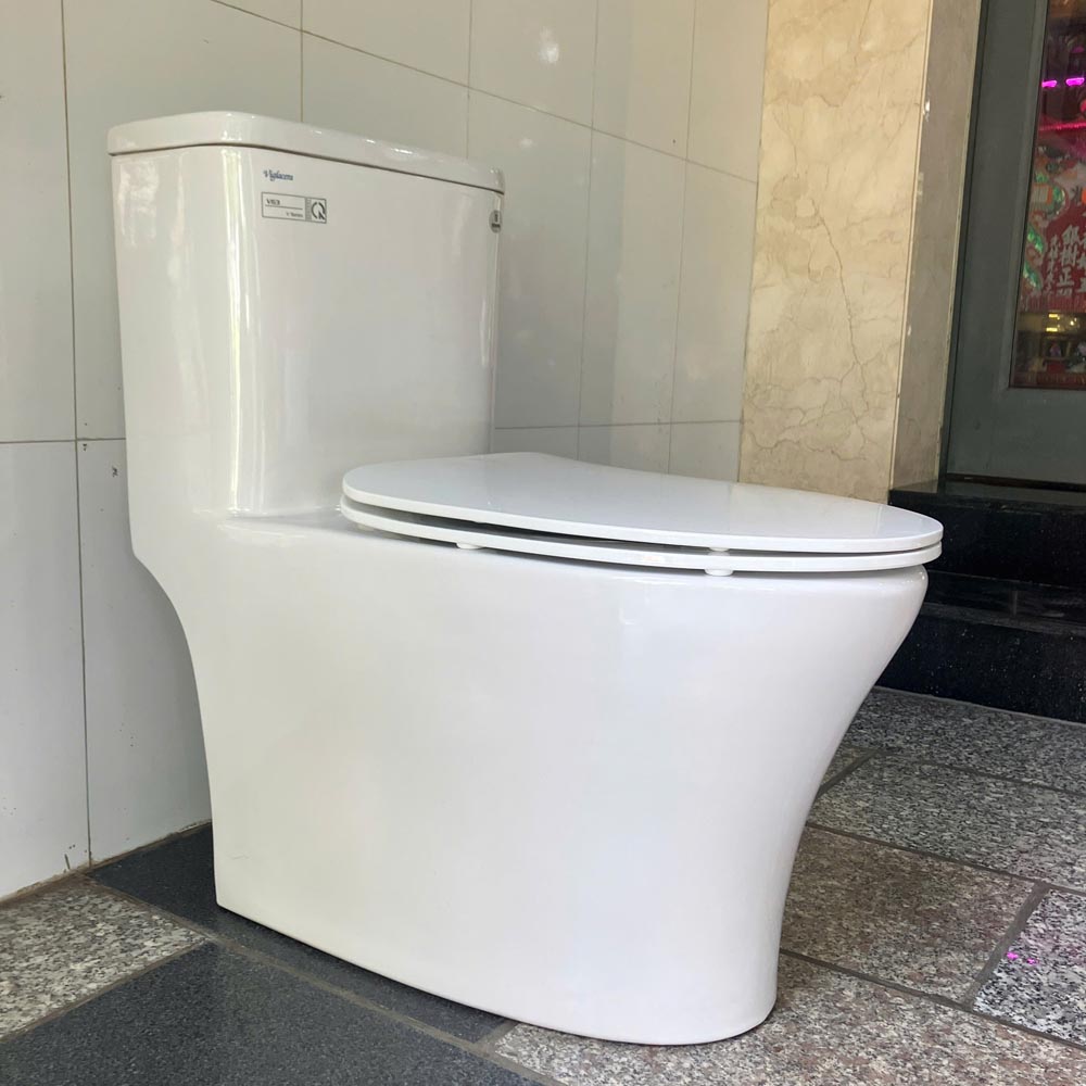 Bồn cầu 1 khối Viglacera V63 nắp êm (+ vòi xịt VG826 & van VG853)