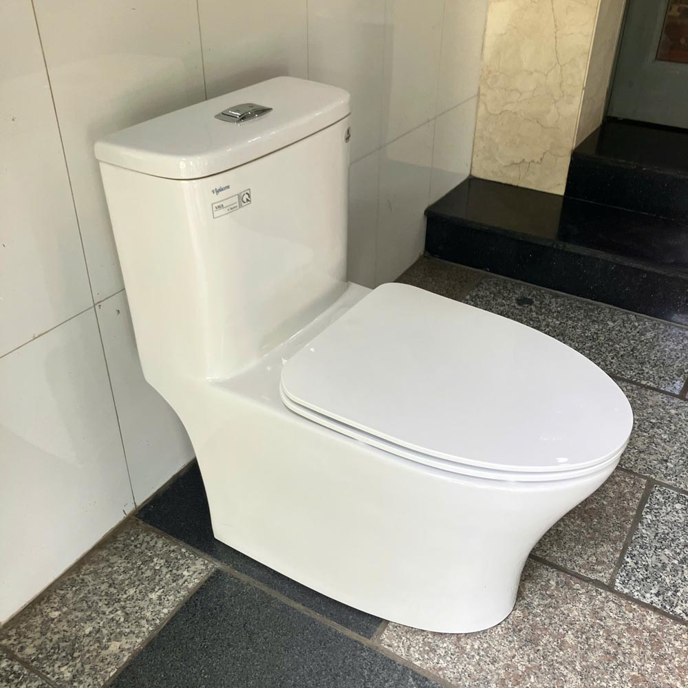 Bồn cầu 1 khối Viglacera V63 nắp êm (+ vòi xịt VG826 & van VG853)