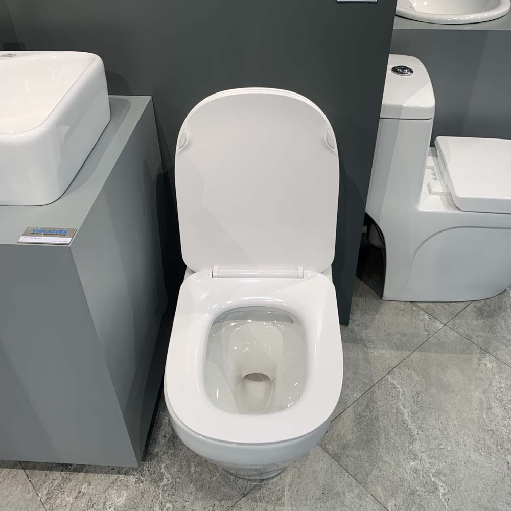 Bồn cầu 1 khối Viglacera V68 nắp êm (+ vòi xịt VG826 & van VG853)