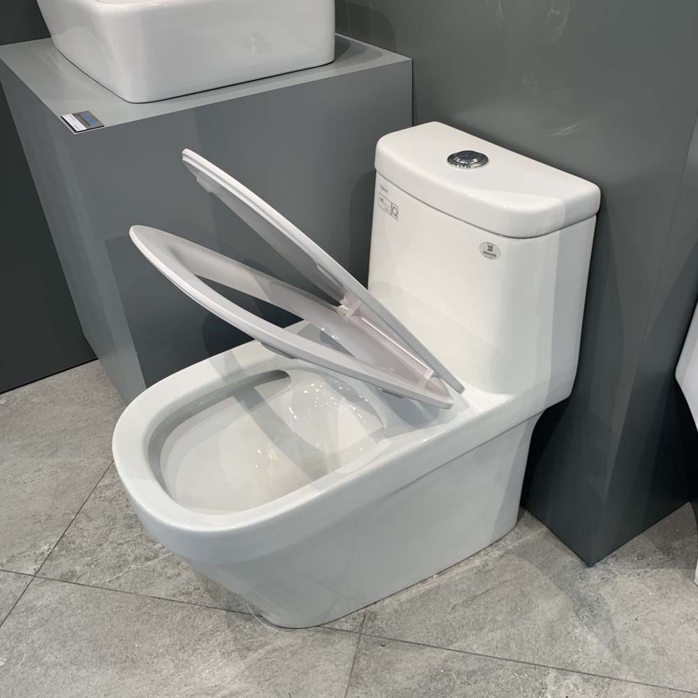 Bồn cầu 1 khối Viglacera V68 nắp êm (+ vòi xịt VG826 & van VG853)