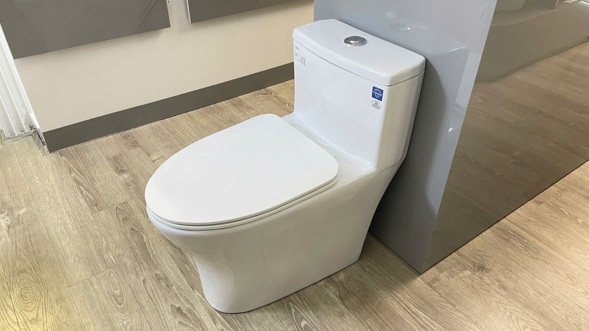 Bồn cầu 1 khối nắp êm Viglacera V803 (+ vòi xịt VG826)