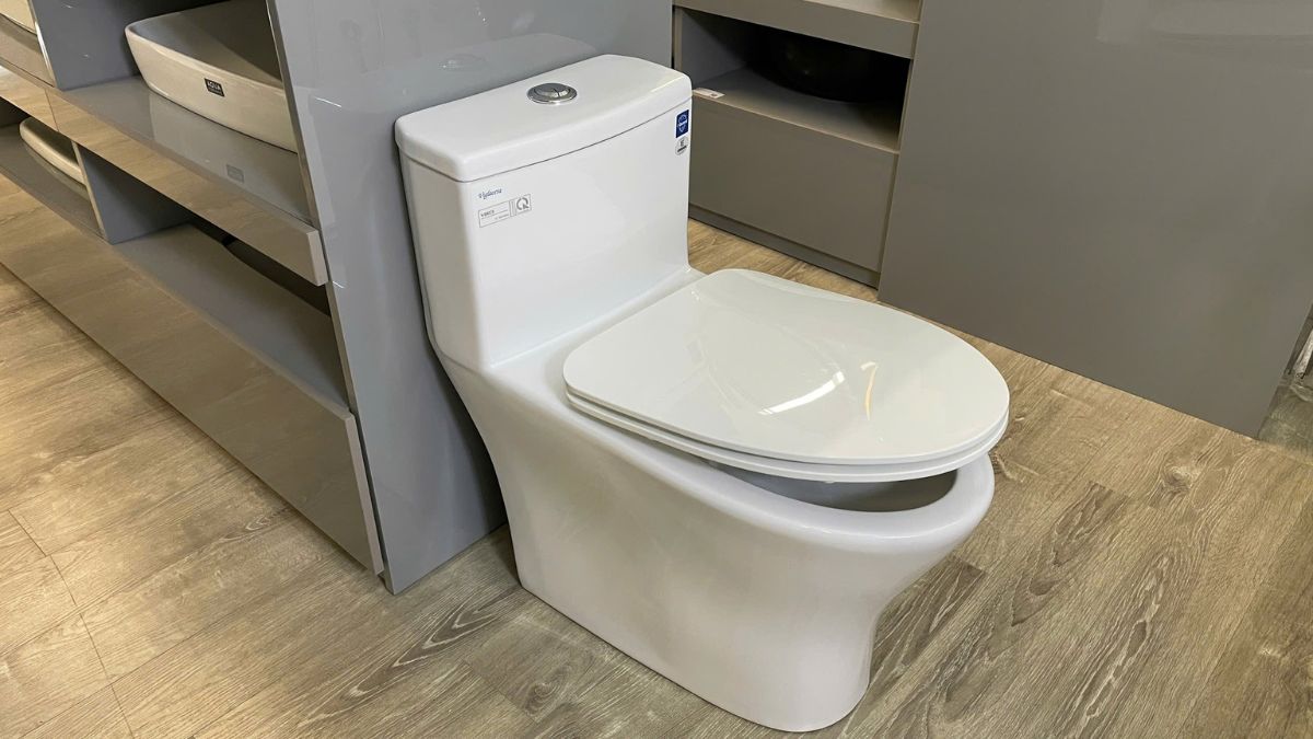 Bồn cầu 1 khối nắp êm Viglacera V803 (+ vòi xịt VG826)