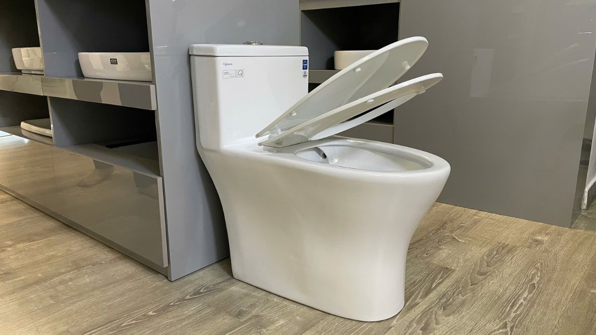 Bồn cầu 1 khối nắp êm Viglacera V803 (+ vòi xịt VG826)