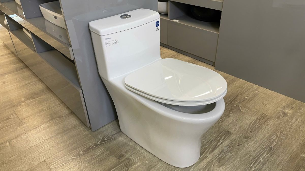 Bồn cầu 1 khối nắp êm Viglacera V803 (+ vòi xịt VG826)