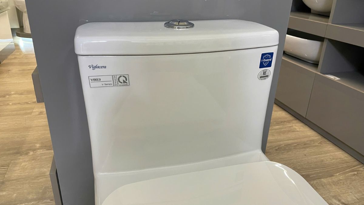 Bồn cầu 1 khối nắp êm Viglacera V803 (+ vòi xịt VG826)