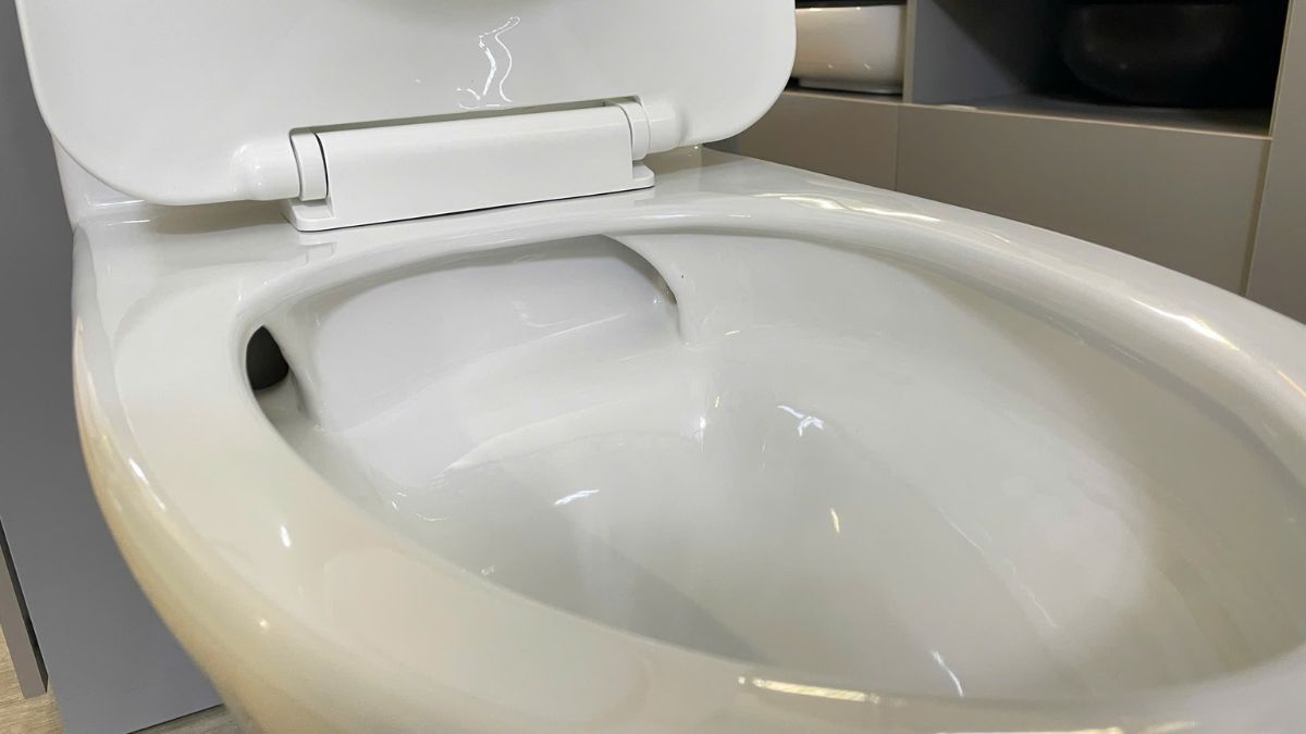 Bồn cầu 1 khối nắp êm Viglacera V803 (+ vòi xịt VG826)