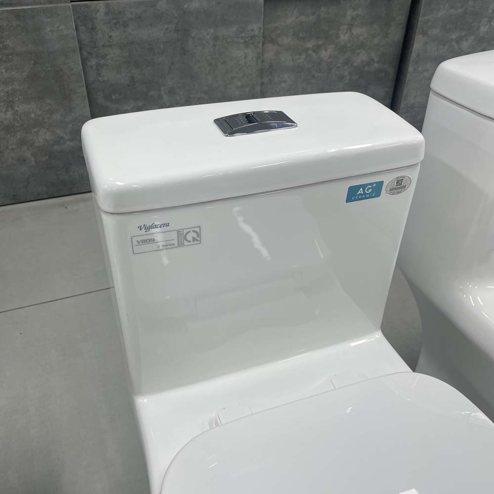 Bồn cầu 1 khối Viglacera V809 nắp êm