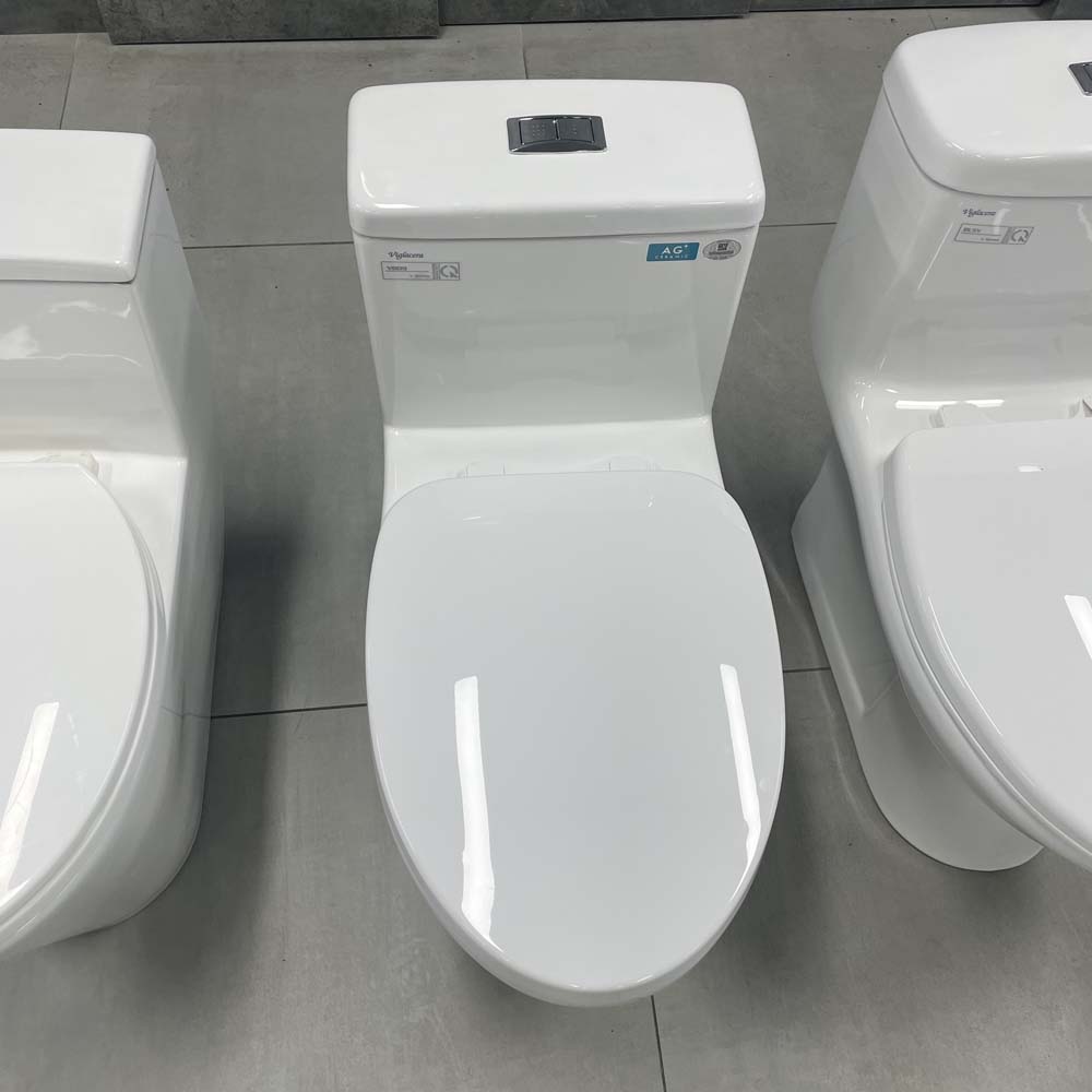 Bồn cầu 1 khối Viglacera V809 nắp êm