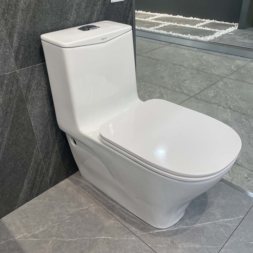 Bồn cầu 1 khối Viglacera V815 nắp êm