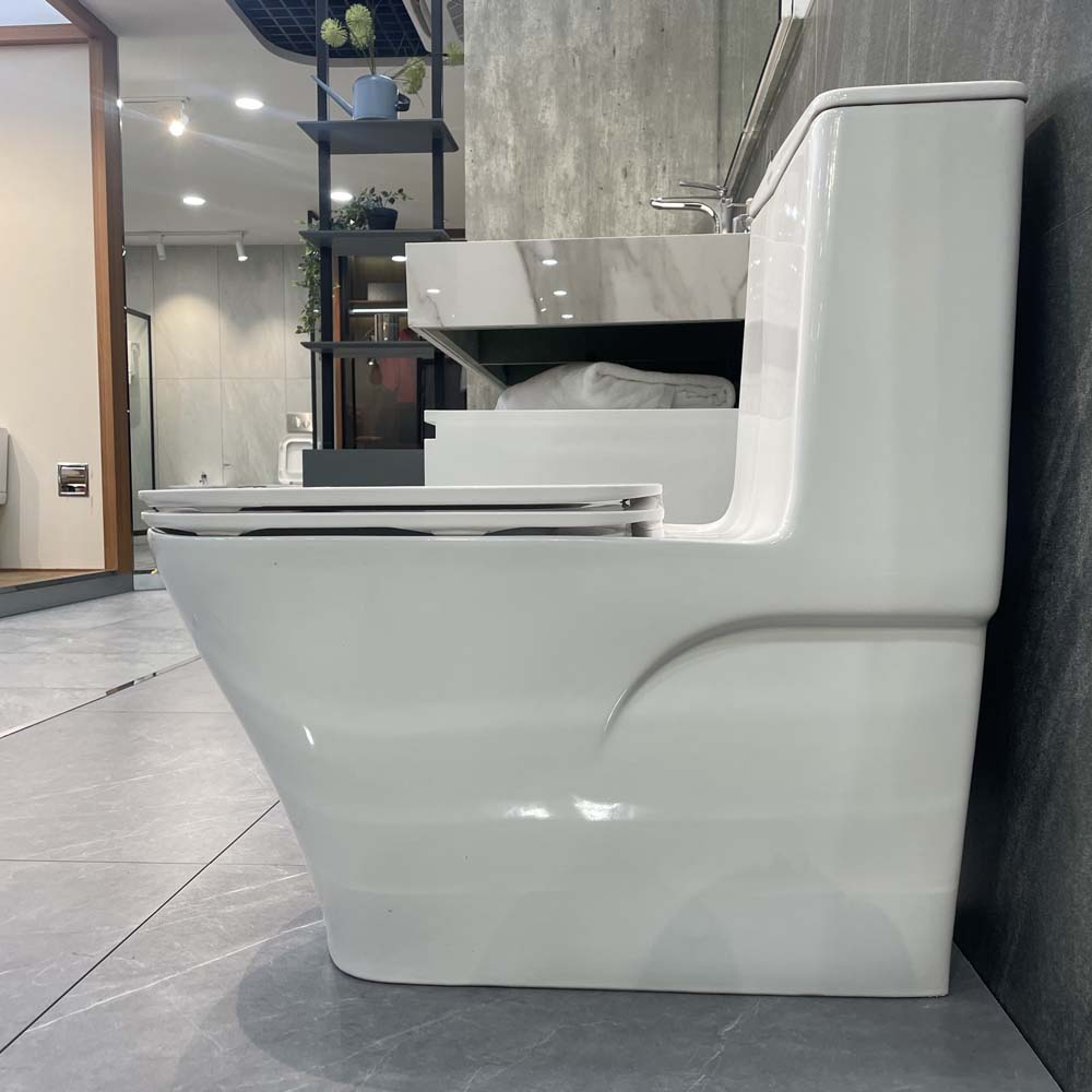 Bồn cầu 1 khối Viglacera V815 nắp êm