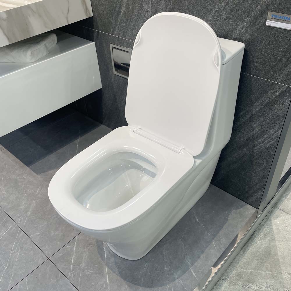 Bồn cầu 1 khối Viglacera V815 nắp êm