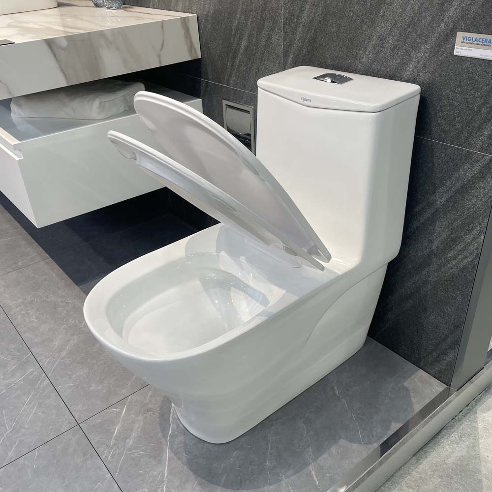 Bồn cầu 1 khối Viglacera V815 nắp êm