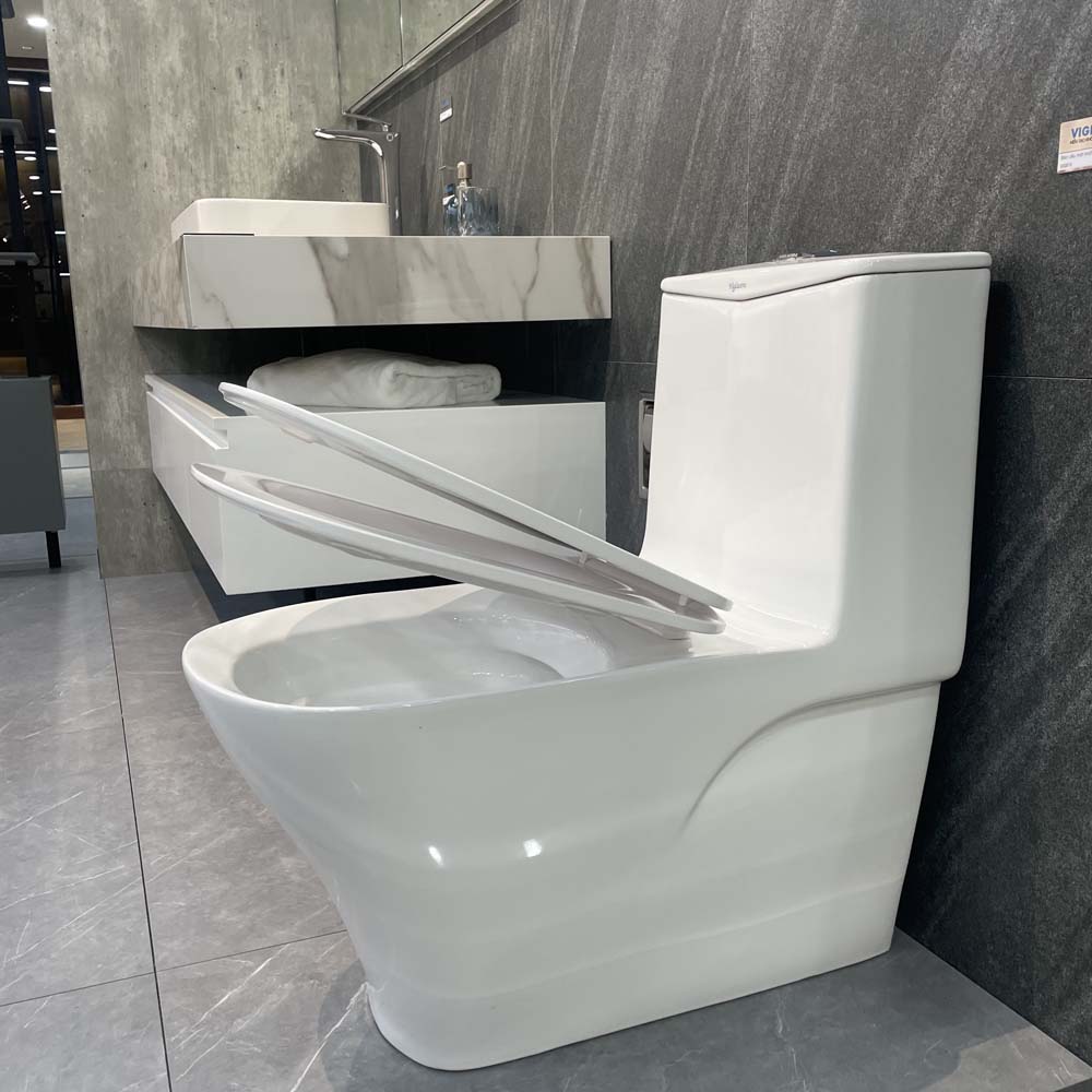 Bồn cầu 1 khối Viglacera V815 nắp êm