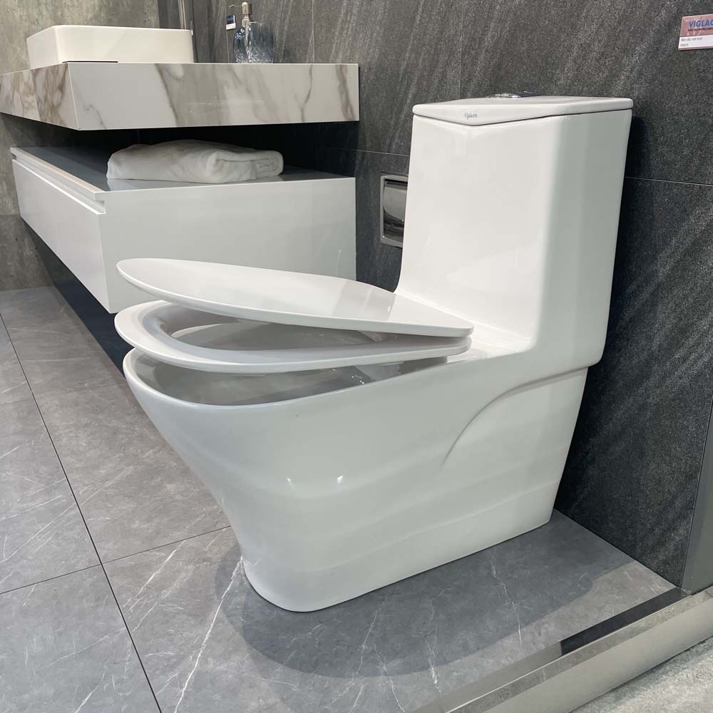 Bồn cầu 1 khối Viglacera V815 nắp êm
