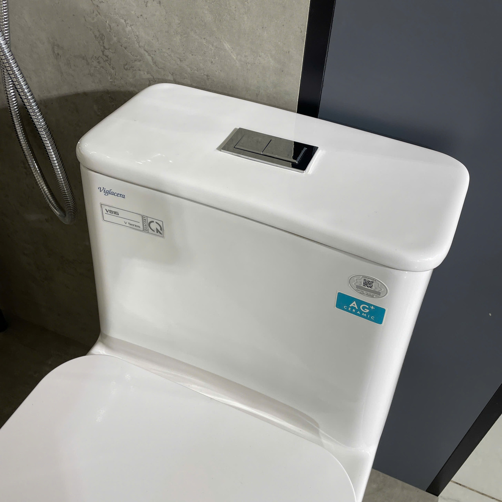 Bồn cầu 1 khối Viglacera V816 nắp êm (+ vòi xịt VG826 & van VG853)