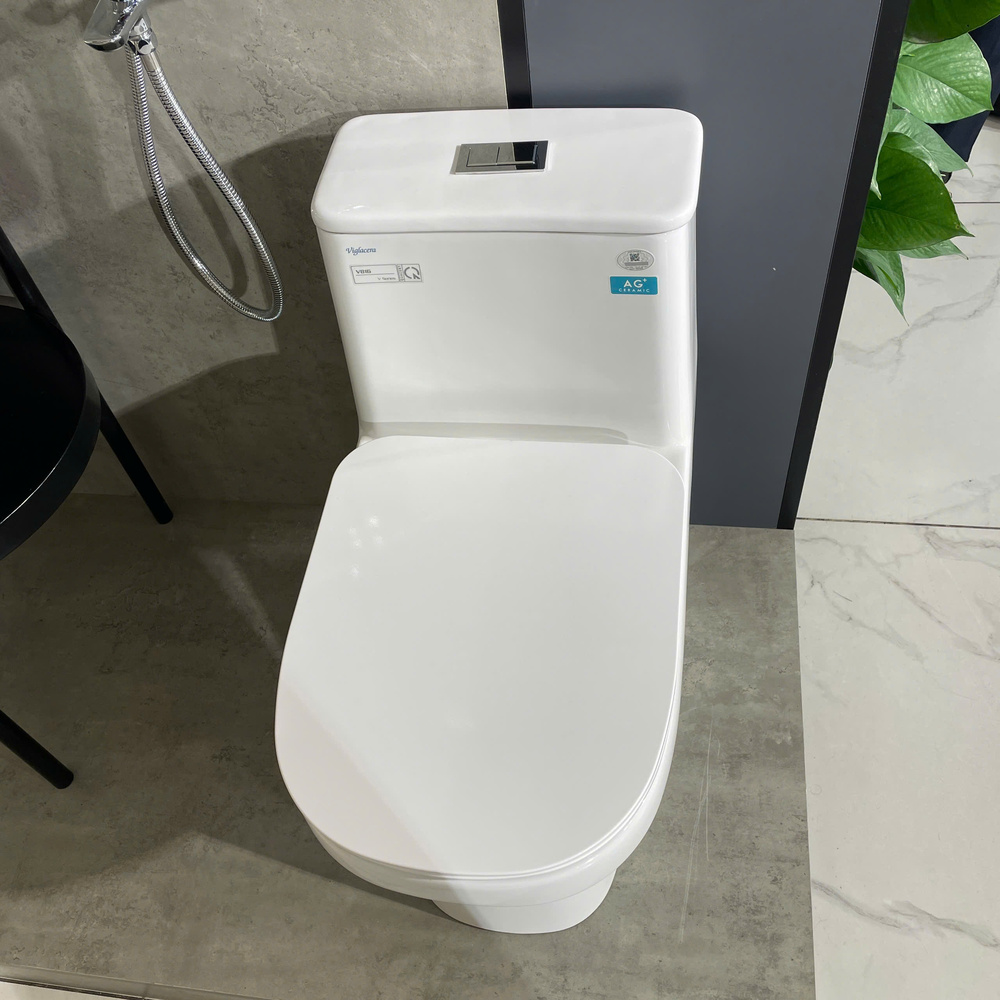 Bồn cầu 1 khối Viglacera V816 nắp êm (+ vòi xịt VG826 & van VG853)