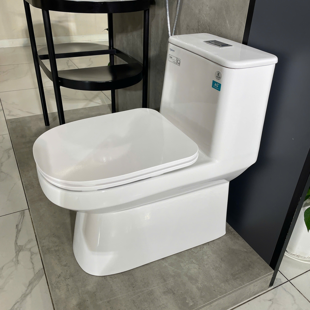 Bồn cầu 1 khối Viglacera V816 nắp êm (+ vòi xịt VG826 & van VG853)