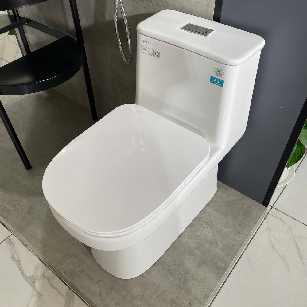 Bồn cầu 1 khối Viglacera V816 nắp êm (+ vòi xịt VG826 & van VG853)