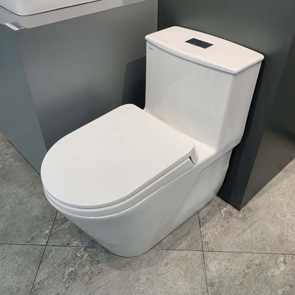 Bồn cầu 1 khối Viglacera V817 nắp êm (+ vòi xịt VG826 & van VG853)