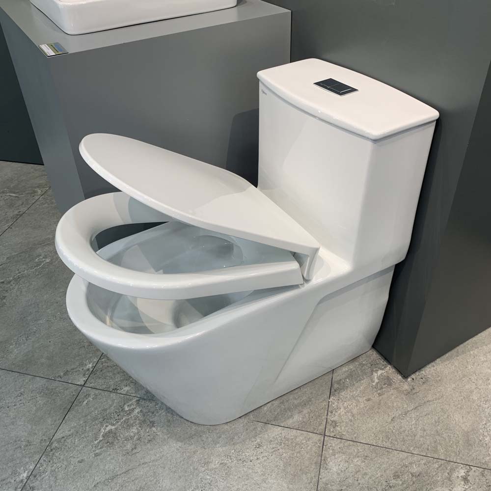 Bồn cầu 1 khối Viglacera V817 nắp êm (+ vòi xịt VG826 & van VG853)